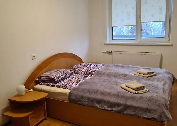 J&E Neries Apartment IV