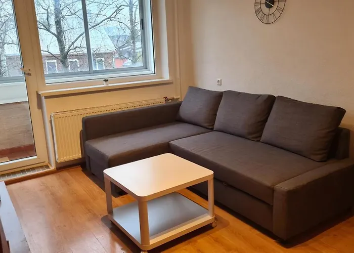 J&E Neries Apartment IV