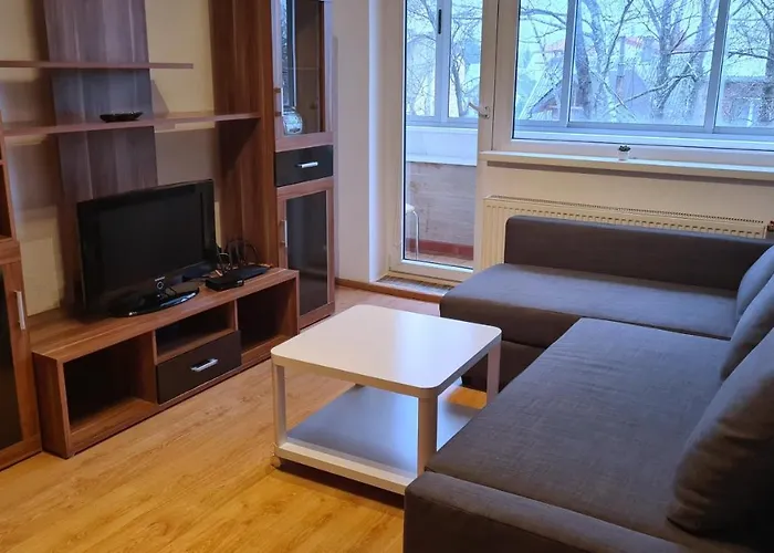 J&E Neries Apartment IV